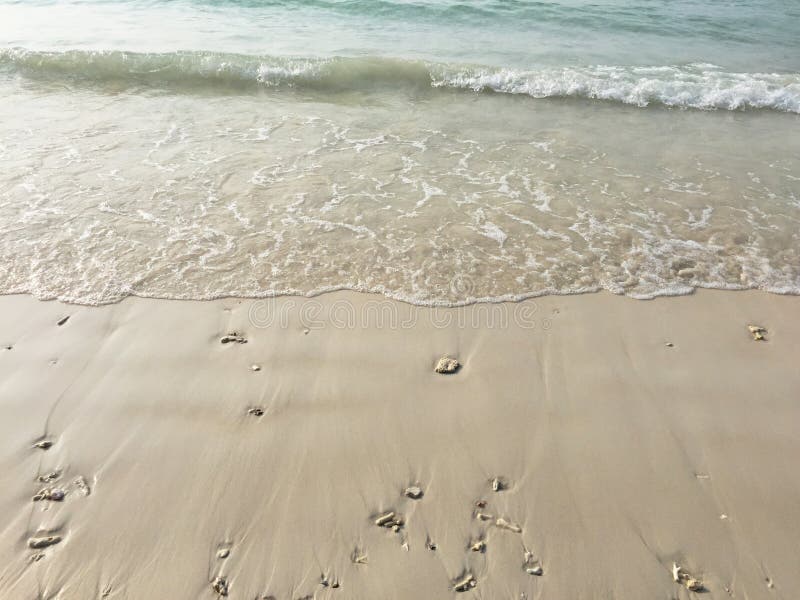 Seascape of sparkling gentle waves and pristine sand