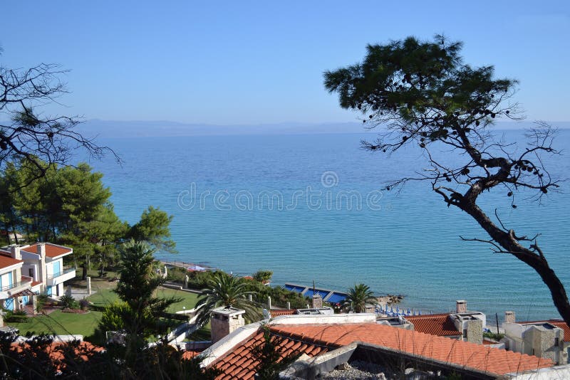 Seascape Ελλάδα, Kassandra, Halkidiki Μπλε ουρανός και η θάλασσα, καμμμένο παλαιό πεύκο στοκ εικόνα Seascape Ελλάδα, Kassandra, Halkidiki Μπλε ουρανός και η θάλασσα, καμμμένο παλαιό πεύκο στοκ εικόνα