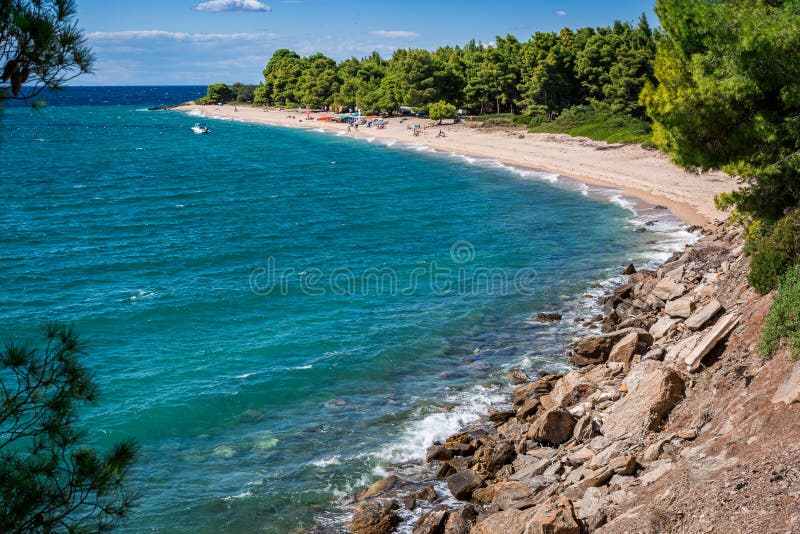 Seascape τοπίου στη χερσόνησο Halkidiki, Ελλάδα Αμμώδης παραλία με τα πράσινα πεύκα Έννοια διακοπών ταξιδιού και καλοκαιριού στοκ φωτογραφία με δικαίωμα ελεύθερης χρήσης Seascape τοπίου στη χερσόνησο Halkidiki, Ελλάδα Αμμώδης παραλία με τα πράσινα πεύκα Έννοια διακοπών ταξιδιού και καλοκαιριού στοκ φωτογραφία με δικαίωμα ελεύθερης χρήσης