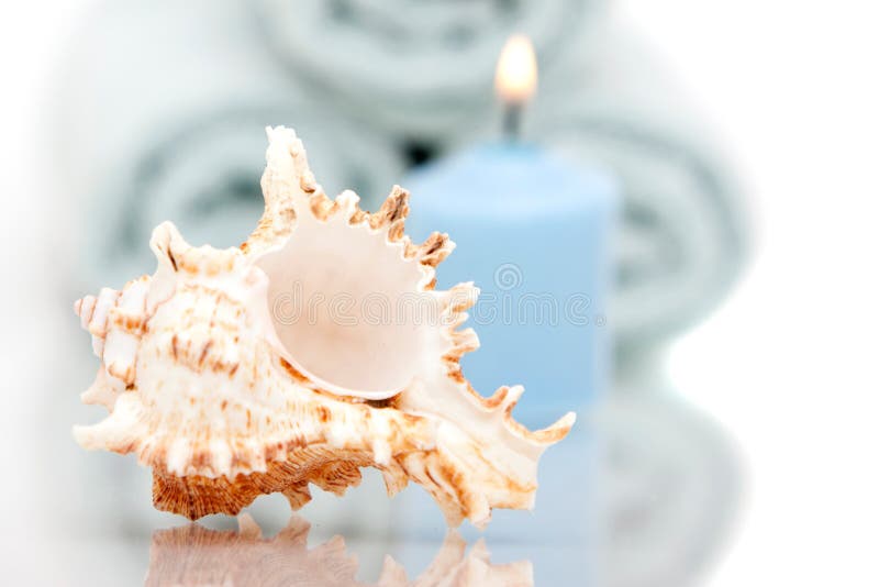 Seashell And Candle Picture. Image 13673186