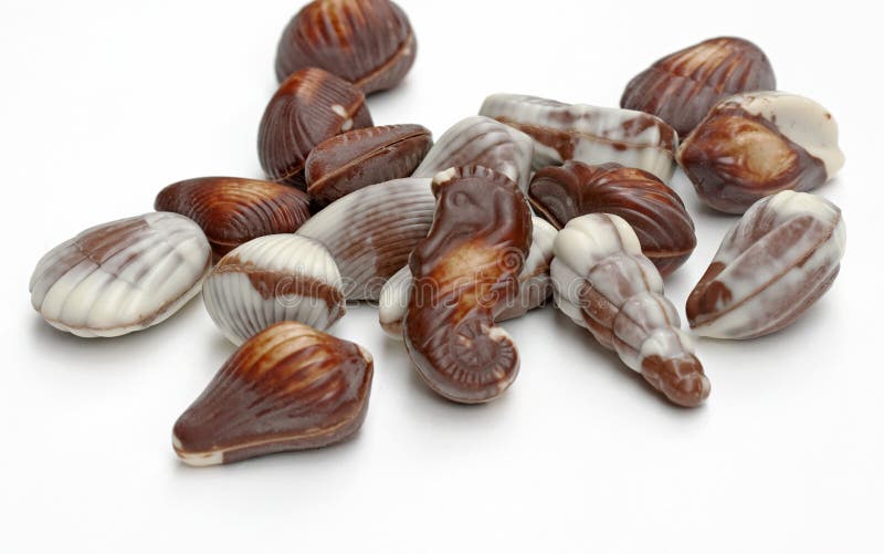 Seashell Chocolates stock image. Image of shape, isolated 38413251