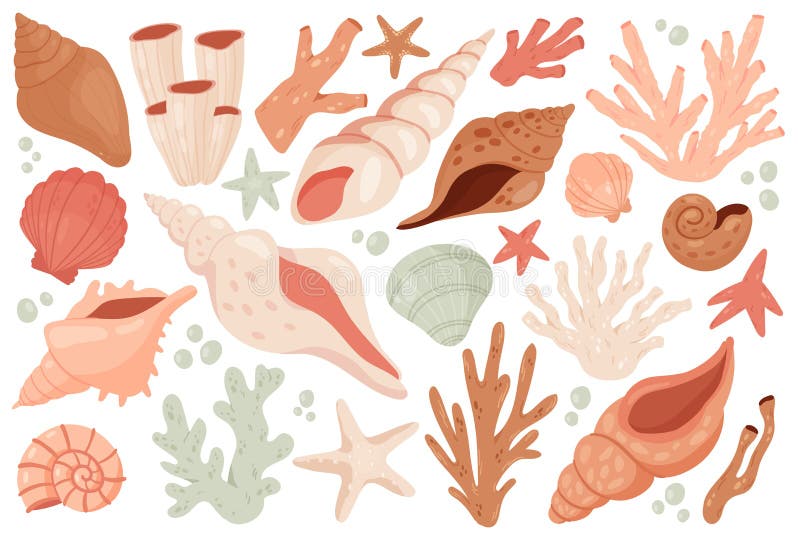 Seashell cute marine set, underwater shell object collection from sea ocean bottom, beach vector illustration