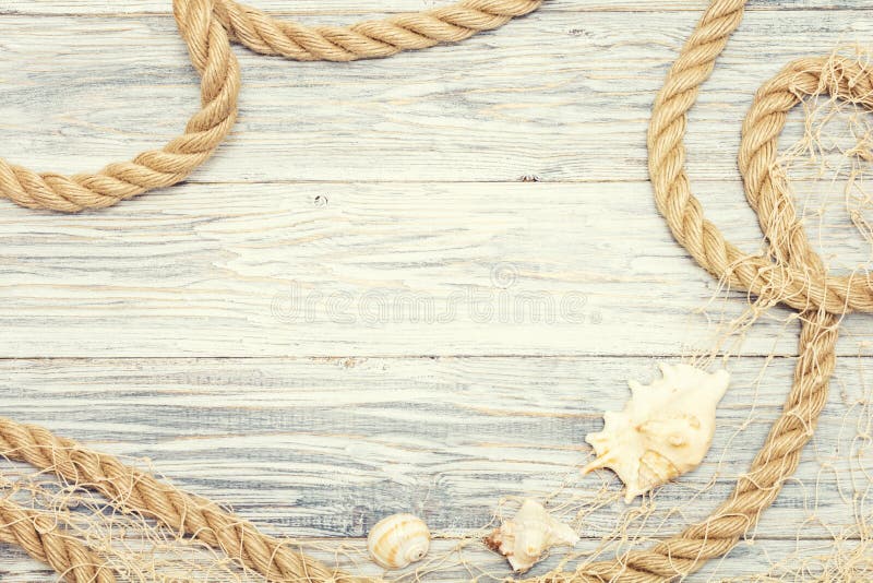 Seashell i arkana na lekkim drewnianym tle zdjęcie stock