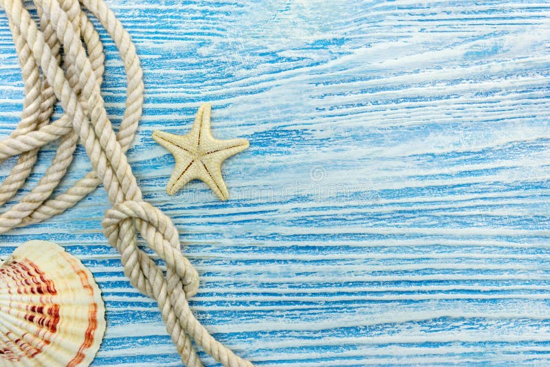 Seashell i rozgwiazda, arkana z kępką na błękitnym drewnianym tle