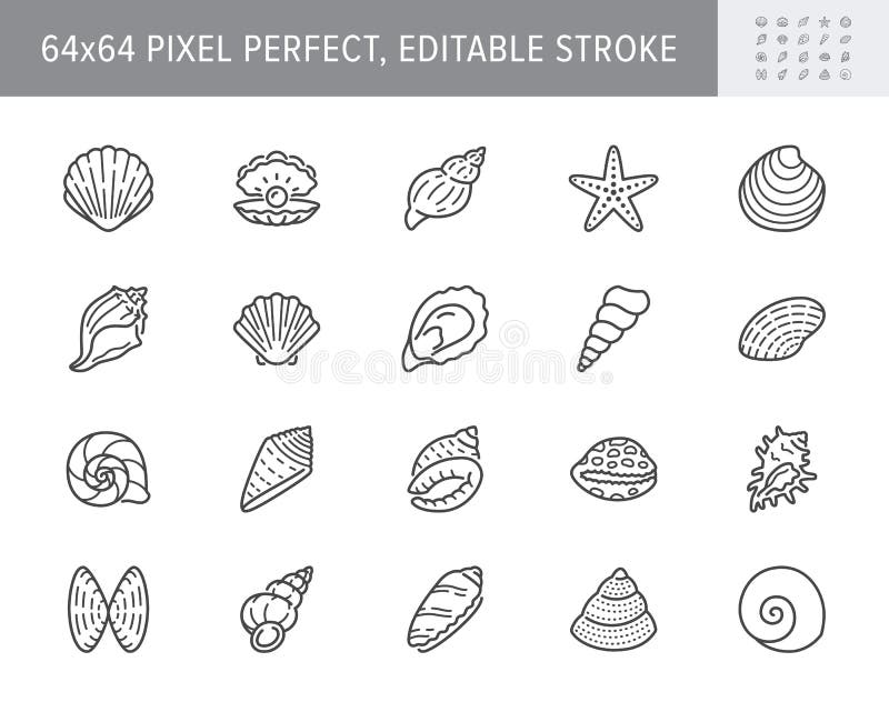 Hand Drawn Black Contour Seashell Outline Stock Vector (Royalty Free)  1740123467 | Shutterstock