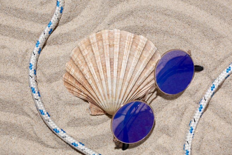 Seashell, para okulary przeciwsłoneczni i żeglarz arkana na piasku z kopii przestrzenią dla twój teksta obraz stock