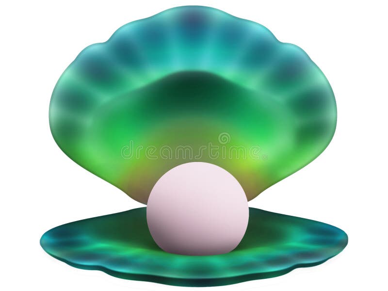 Seashell with a pear vector illustration