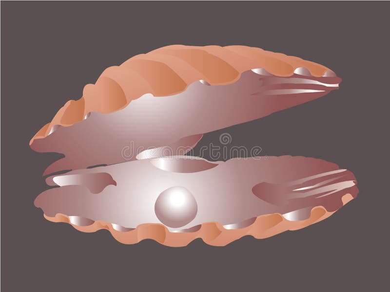 Seashell with pearl royalty free illustration