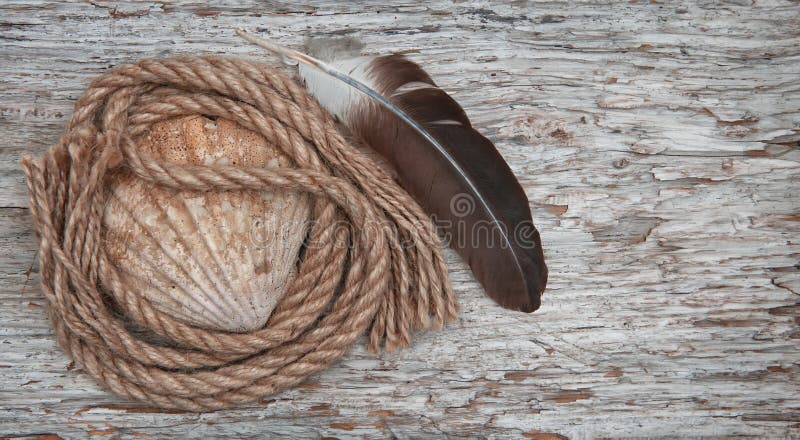 Seashell, piórko i arkana na starym drewnianym tle zdjęcie stock