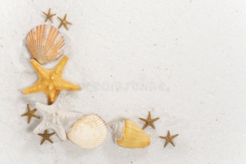 Seashell-Rand lizenzfreies stockbild