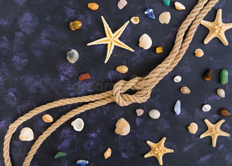 Seashell, rozgwiazda i arkana na ciemnym tle, Odg? rny widok fotografia stock