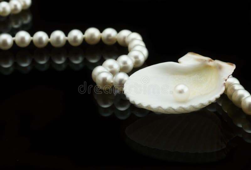 Seashell y perla