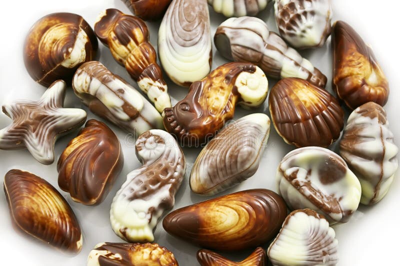 Belgian Chocolate Seashells
