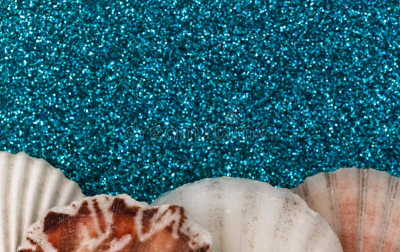 Seashells on a Aqua Blue Glitter Background. Sea Shell Frame Stock