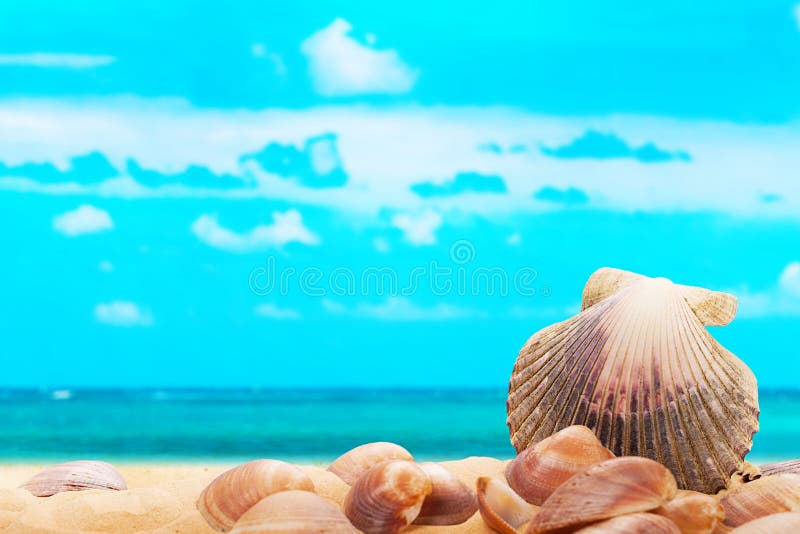 Happy Family with Grandparents Playing on Beach Stock Image - Image of ...