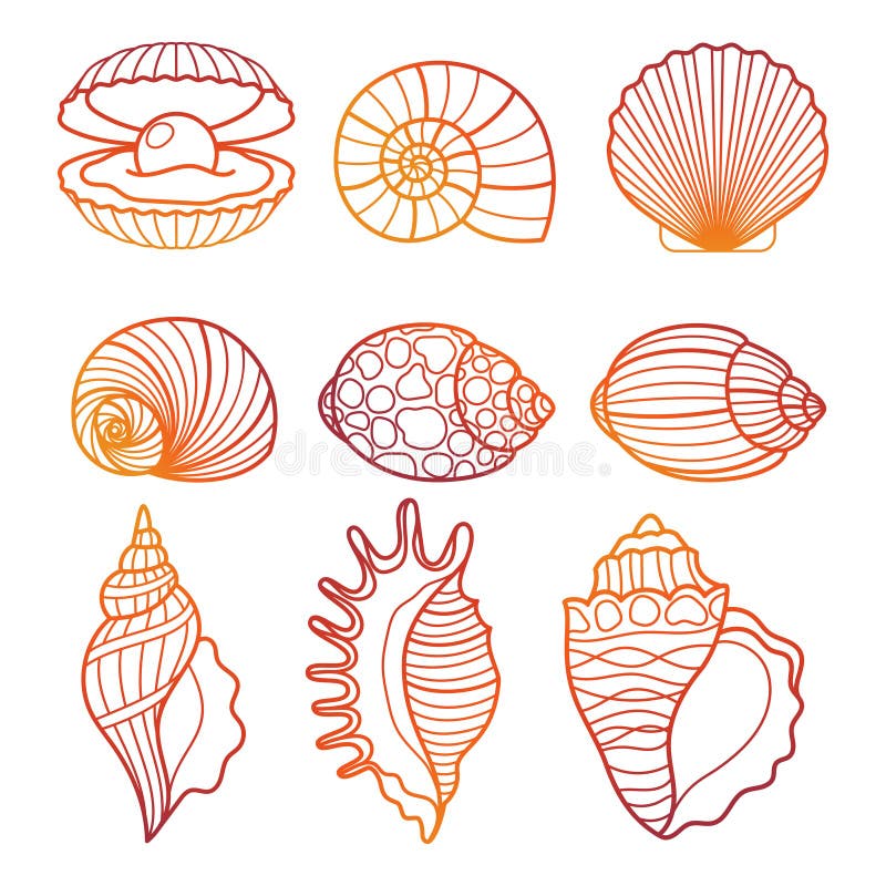 seashell tattoo black and white - Google Search | Seashells outline, Sea  shells, Beach ocean art