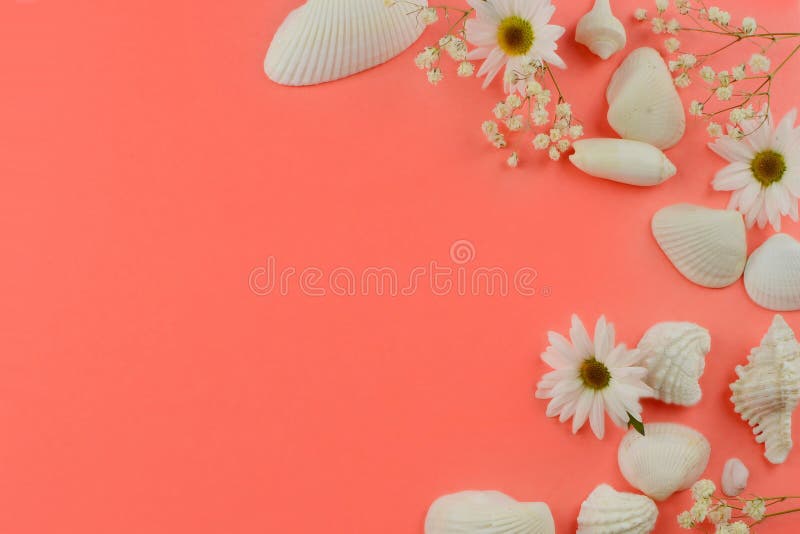 Seashells and flowers in shades of white forming a border on a coral colored background with copy space.