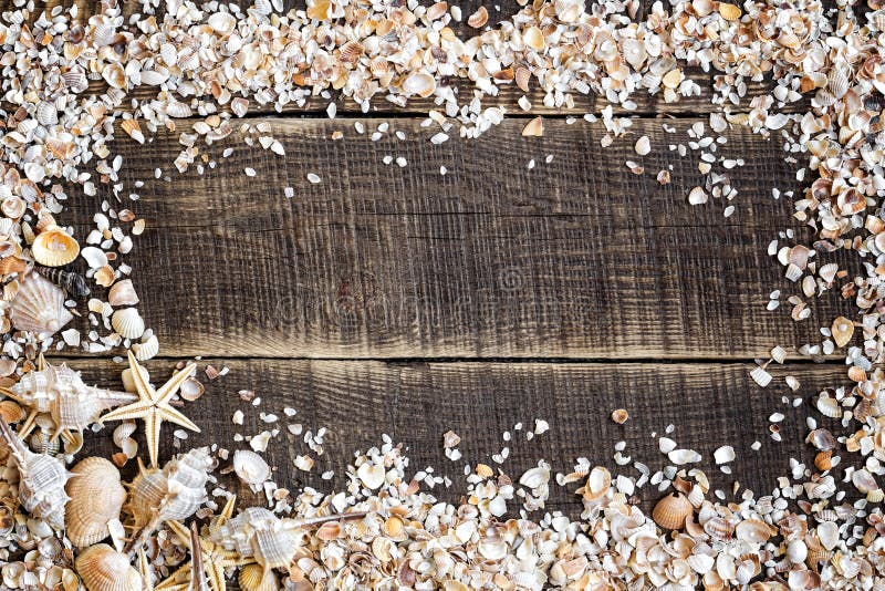 Seashells obramiają na drewnie zdjęcia stock Seashells obramiają na drewnie zdjęcia stock
