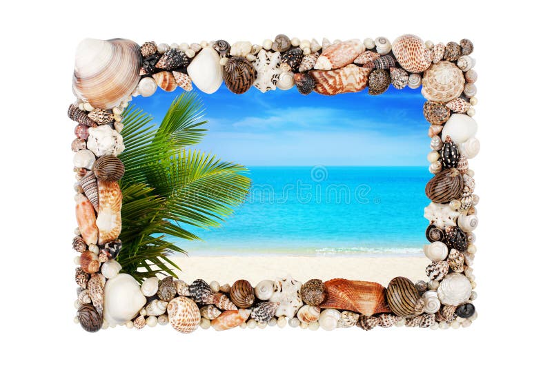 Seashells photo frame white background isolated closeup, sea shells picture border, summer sand beach holiday, tropical island vacation, green palm, blue sky, tourist travel banner beautiful landscape