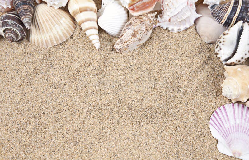 Seashells framing beach sand, border. Seashells framing beach sand, border.