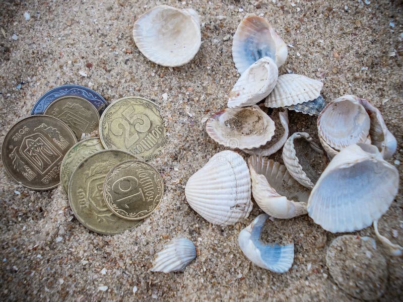 Seashells in the sand and money