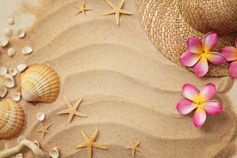 Seashells and sand
