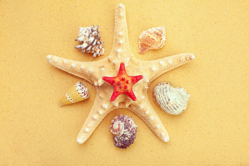 Christmas Tree Made From Sea Shells And Starfish With Sand Decoration On  Wooden Blue Background Top View Vertical Composition Stock Photo - Download  Image Now - iStock