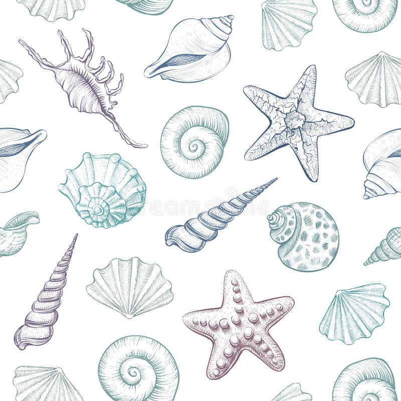 Seashells wektorowy bezszwowy wzór Ręki rysować morskie ilustracje grawerująca linia kolorowe tło