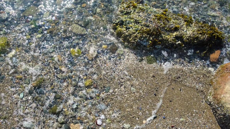 Seashore closeuse. calme vagues d'eau de mer éclaboussant sur la plage rocheuse. vue supérieure clips vidéos