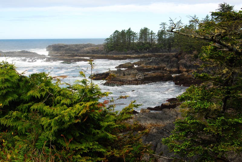 Seashore in pacific rim stock photography Seashore in pacific rim stock photography