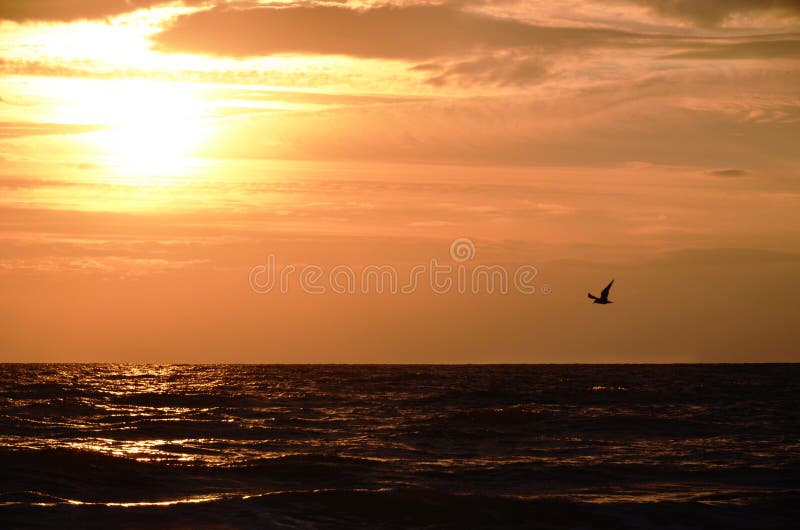 Seashore Sky Orange And Blue Tones Clouds And Sea Waves Sand Beach With