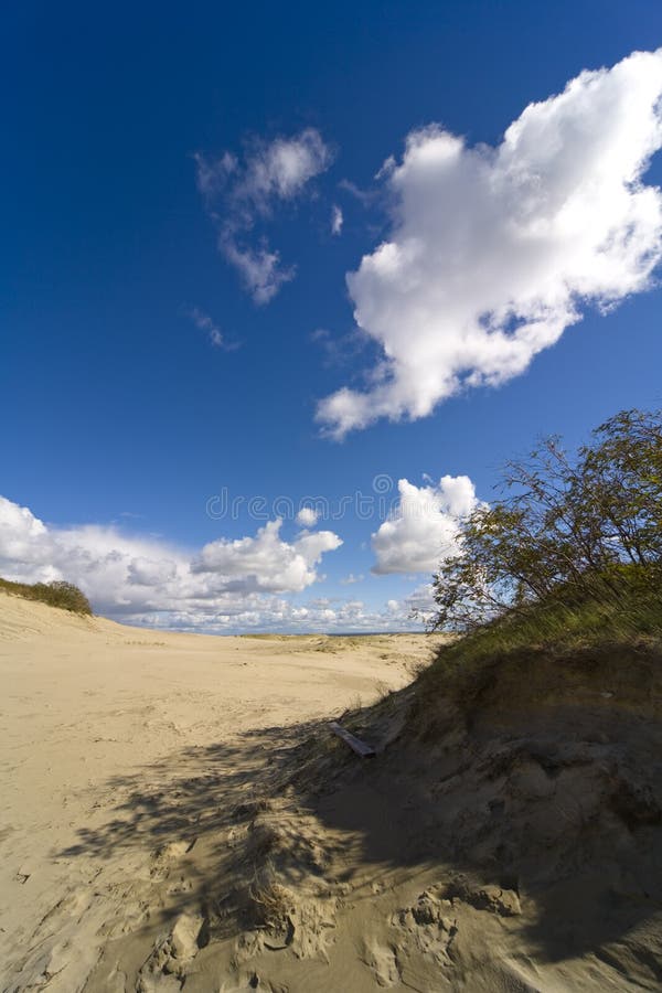 Seaside Baltic - a dune