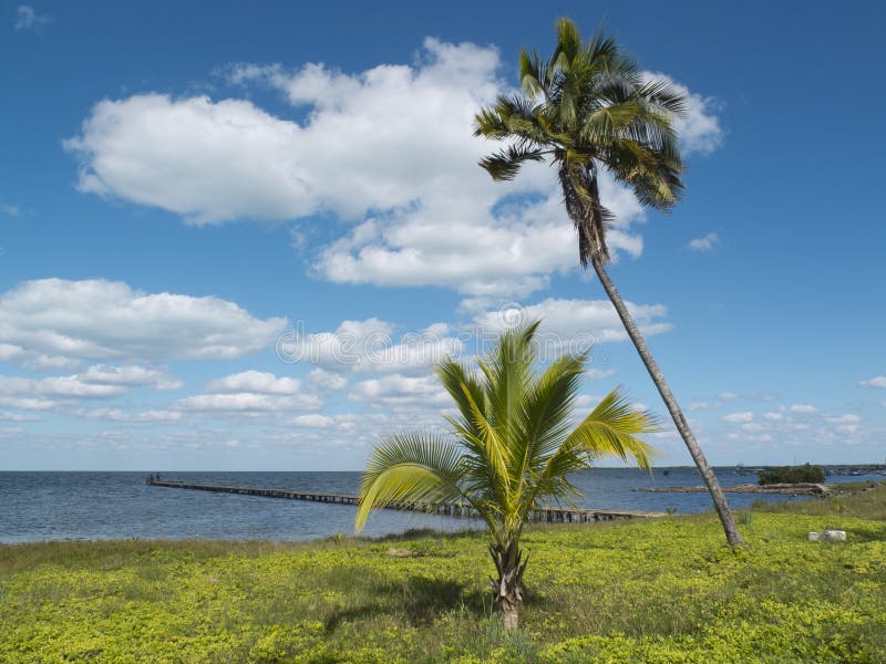 Seaside landscape in Cuba.