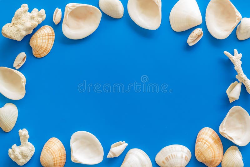 Seaside pattern with shells frame on blue background top view mock up royalty free stock image