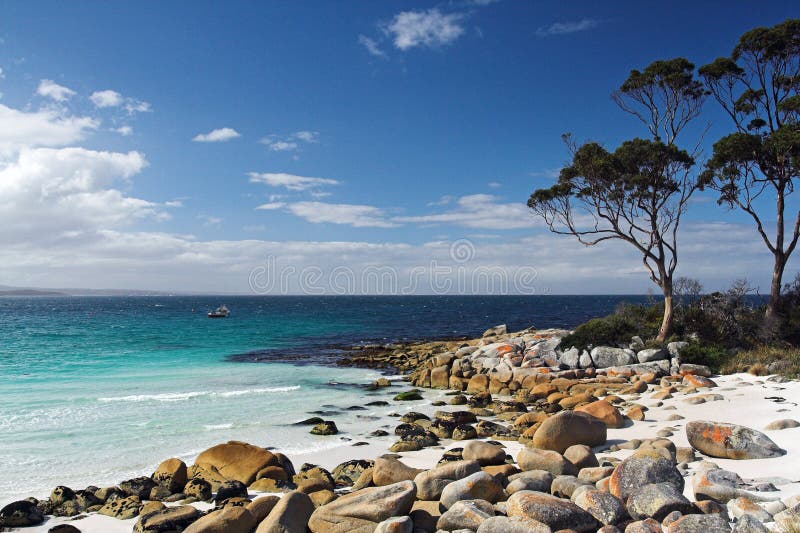 Seaside Rocks and Trees