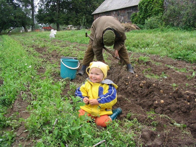 Season when potatoes are dug out