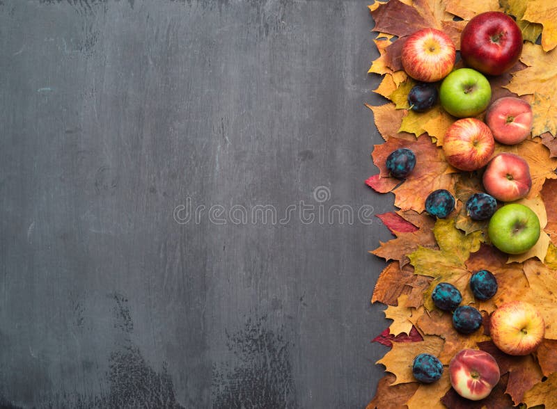 Seasonal autumn background. Frame of colorful maple leaves, grapes, peaches, nectarines, plums and apples.