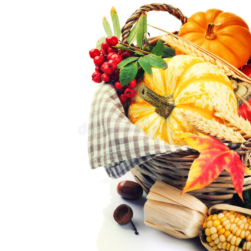 Seasonal basket with pumpkins and corn