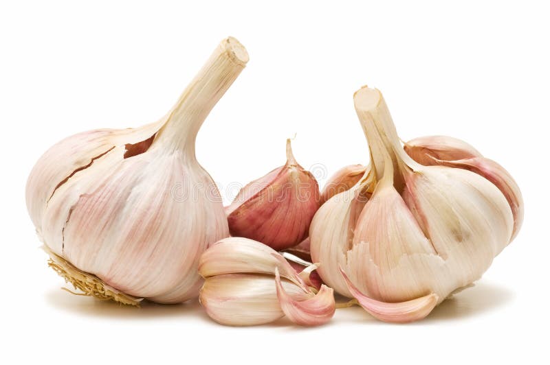 Seasonal fresh garlic