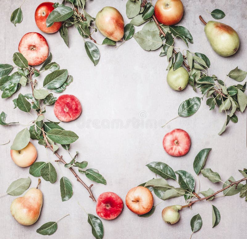 Seasonal garden fruits: apples,  pears, peaches with branches and leaves on gray background, top view. Frame. Copy space for your