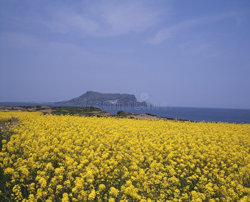 Seasonal Landscape stock image. Image of season, outdoor 81532907