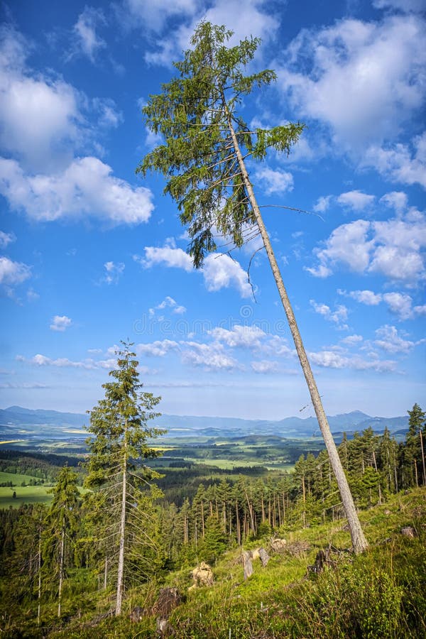 Sezónna prírodná scenéria vo Vysokých Tatrách, Slovensko