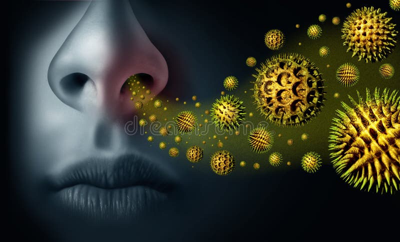 Seasonal Pollen Allergy royalty free illustration Seasonal Pollen Allergy royalty free illustration