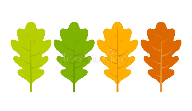 Seasonal specific oak leaves icon