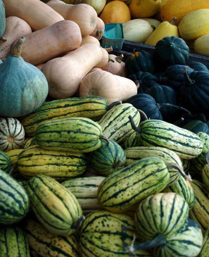 Seasonal Vegetables stock image. Image of cauliflower - 11135785