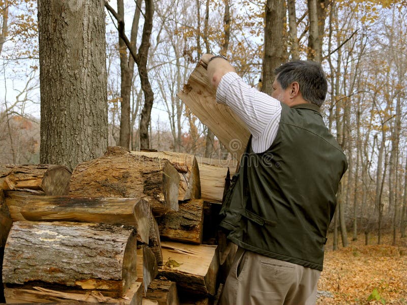 Seasoned Wood Stacked for Winter Heat