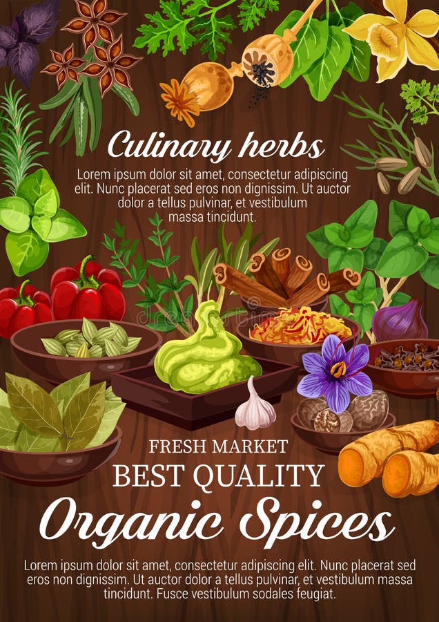 Seasoning, spice and herbs, condiments vector illustration Seasoning, spice and herbs, condiments vector illustration