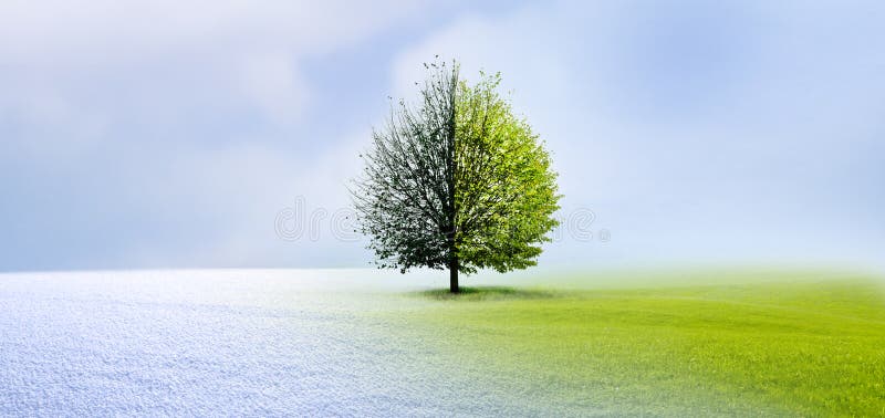 29831 Winter To Spring Stock Photos Free And Royalty Free Stock Photos