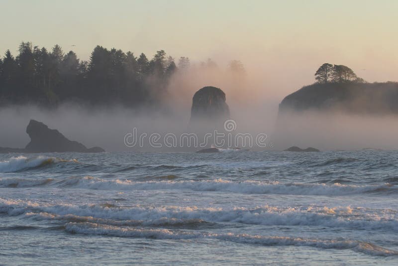 Seastacks on Wild Pacific Coast, Olympic National stock photo Seastacks on Wild Pacific Coast, Olympic National stock photo