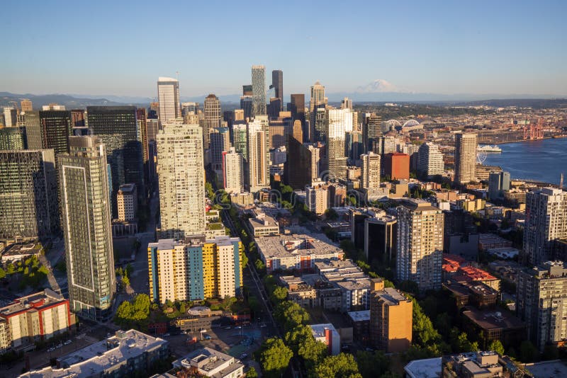 Seattle downtown skyline during summer sunset. View from Seattle needle. stock image